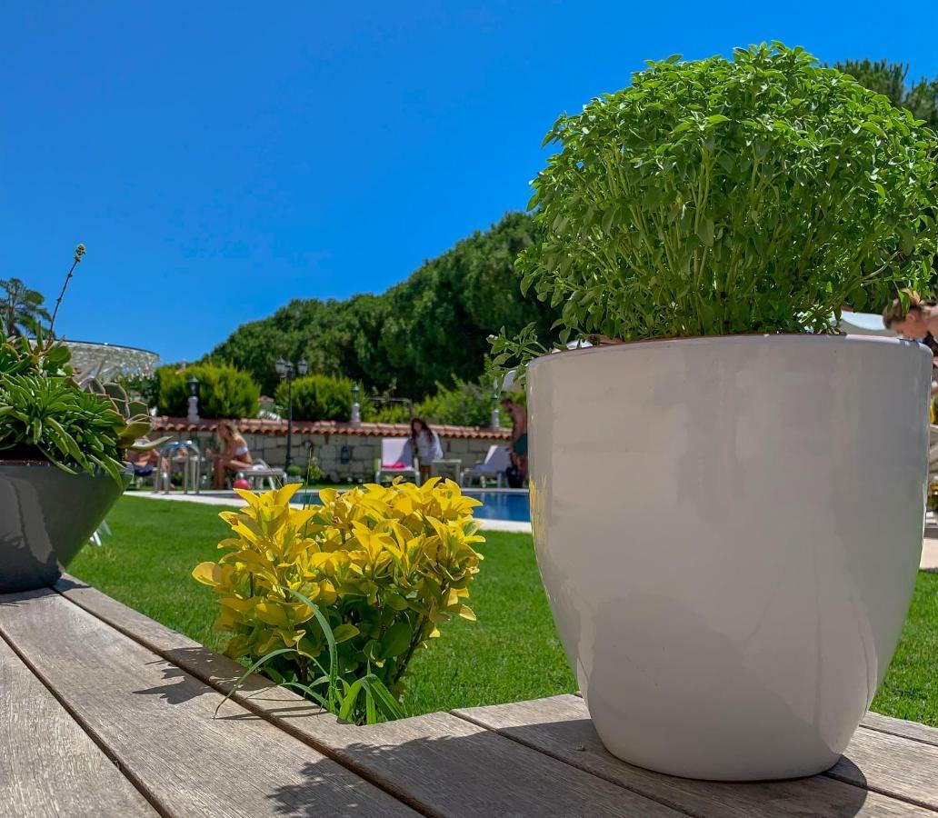 Salbakos Herakleia Boutique Hotel Alaçatı Exteriér fotografie